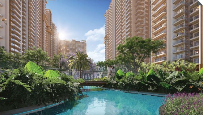 Property Gallery